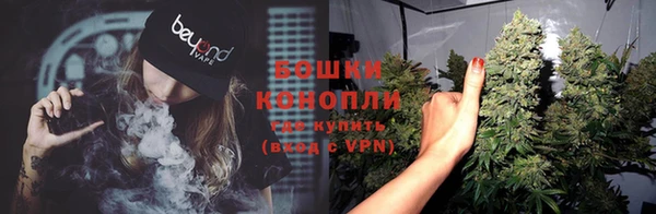 трава Белокуриха