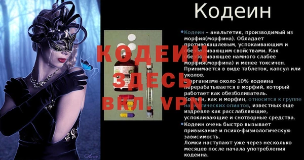 трава Белокуриха