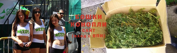 трава Белокуриха